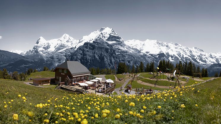 Allmendhubel