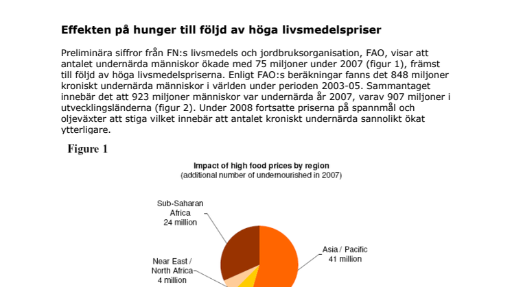 FAO-paper: Hungern ökar