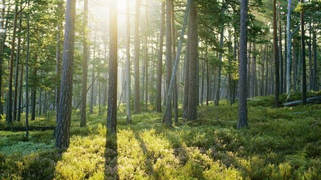 Nobia, Marbodals moderbolag, första svenska köksföretag med vetenskapliga klimatmål i enlighet med Science Based Target