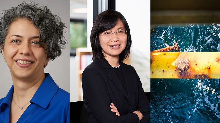 Arezou Baba Ahmadi, Chalmers, och Lilei Ye, Chalmers Industriteknik, har utvecklat en ny typ av anod med grafen. 