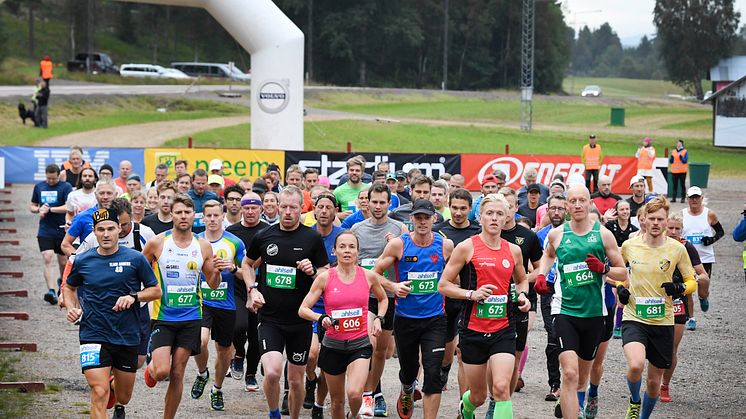 Vasakvartetten 2019