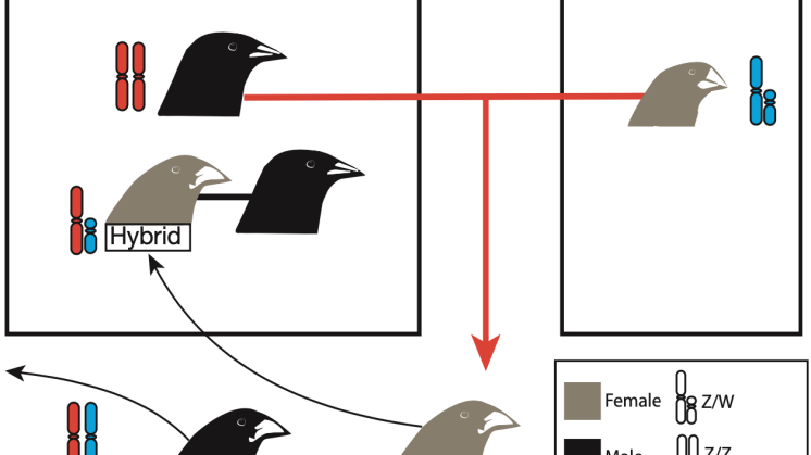 Figure 3.