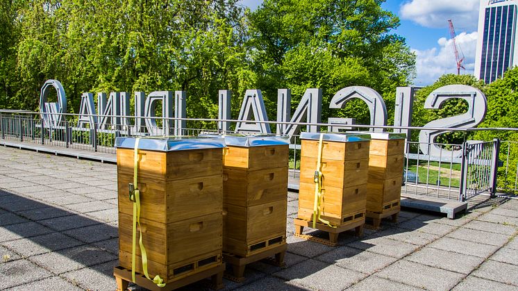 SIGNAL IDUNA setzt auf Bienen