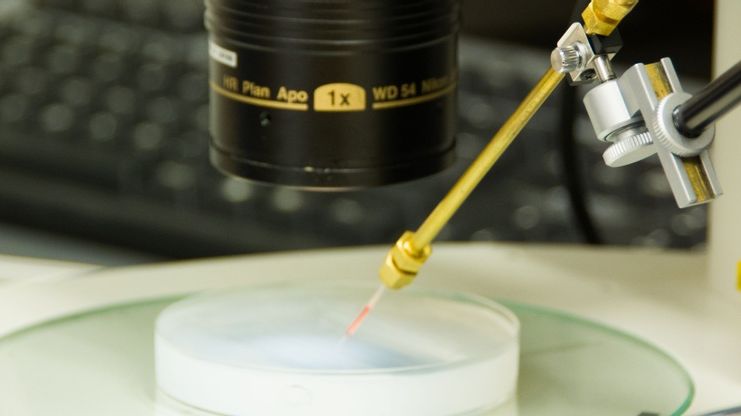 BioReperia får miljonstöd i utlysning från Swelife och Medtech4Health
