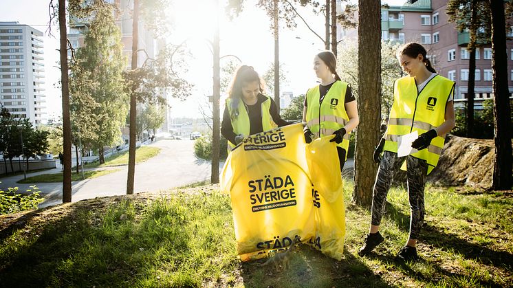 För ett hållbart Haninge 2019