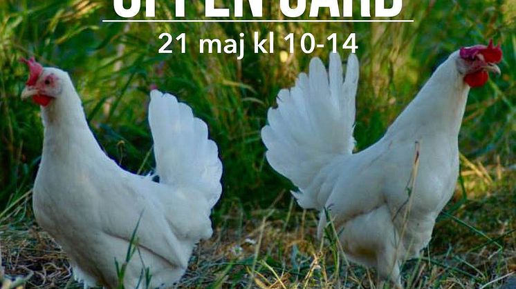 Öppen gård!