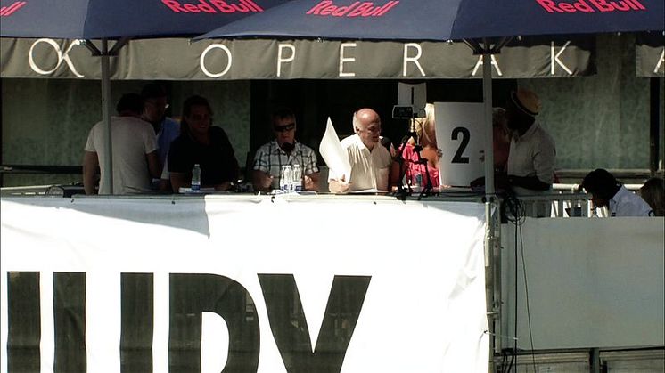 Red Bull Flugtag