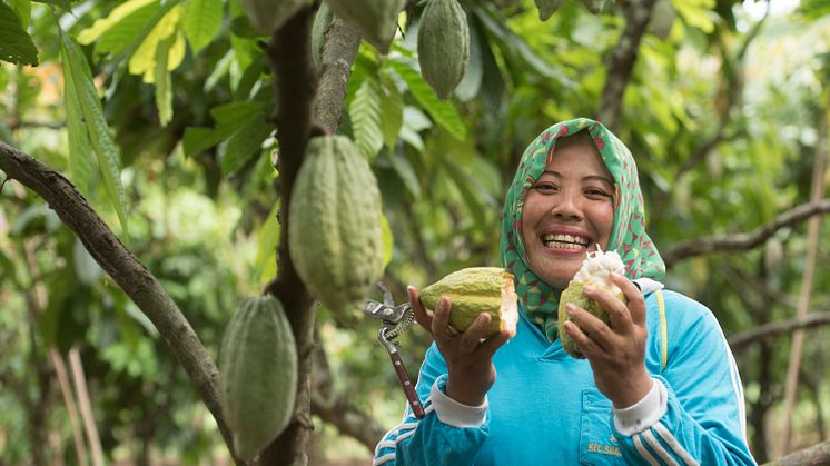 Mondelēz International investiert insgesamt 1 Milliarde US-Dollar in Nachhaltigkeitsprogramm Cocoa Life bis 2030; Aufruf zu mehr sektorweiten Maßnahmen