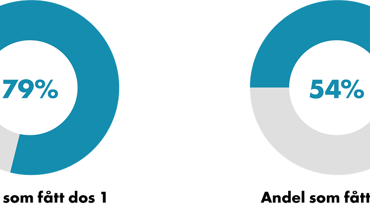 210722_Cirkel andel.png