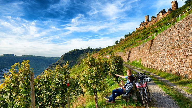 Mayen-Koblenz_Burg_Thurant_in_Akenau_an_der_Mosel;_Rast_im_Weinberg