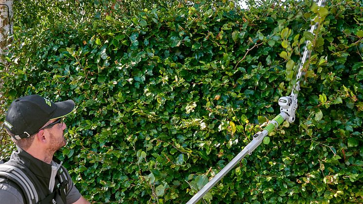 Hedge_Trimmer_Model_Hedge_A 45.jpg