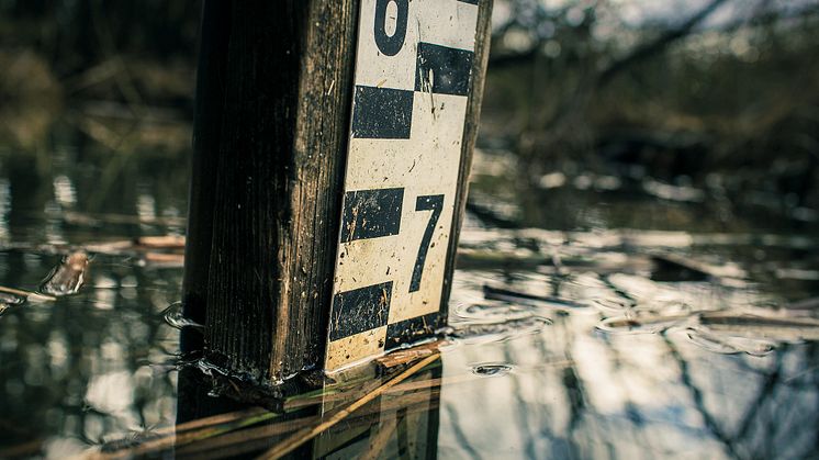 Foto: Karl Melander