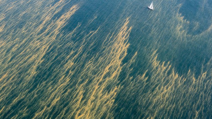 Från sött till salt – en fascinerande fotoutställning om vatten