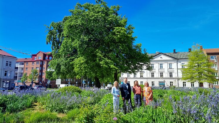 Busskort och biologisk mångfald i Ansvar för Halmstads budgetförslag