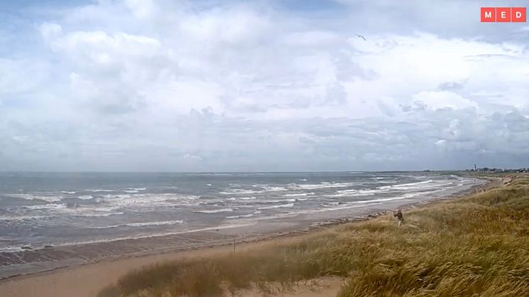 Olofsbo strand, Falkenberg