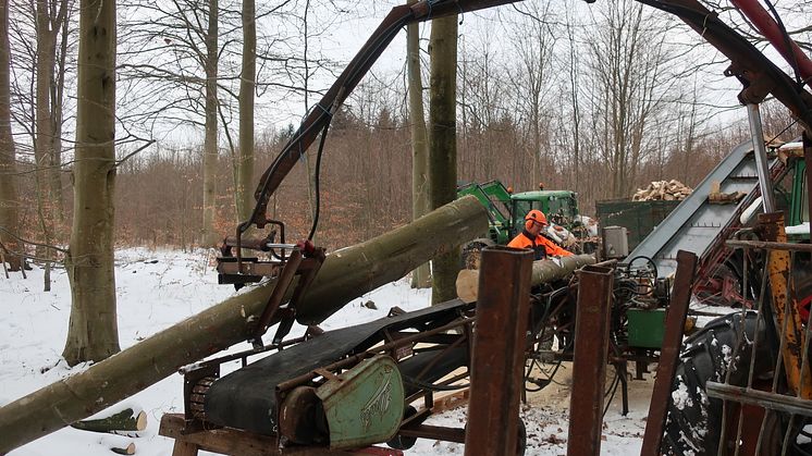 STIHL savværk