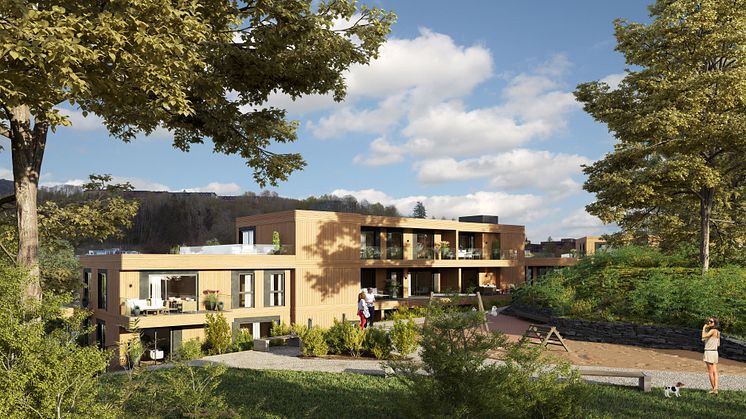Kråkehaugen grønnstruktur