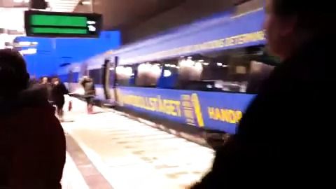 Handbollståget