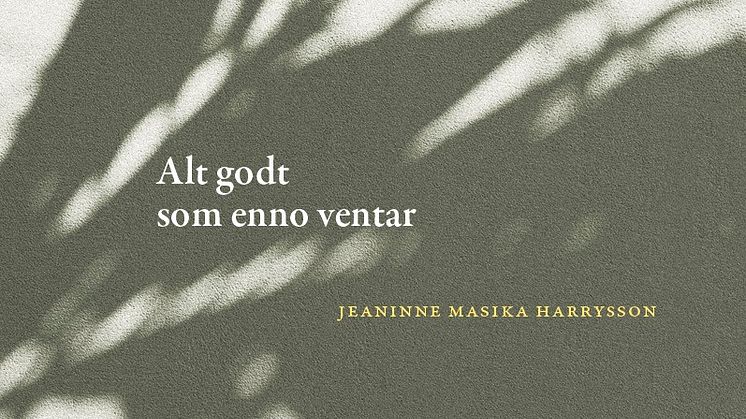 9788234007248 Harrysson_RGB.jpg