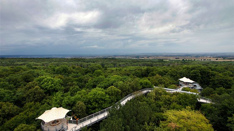 Vandring på Hainichlandweg