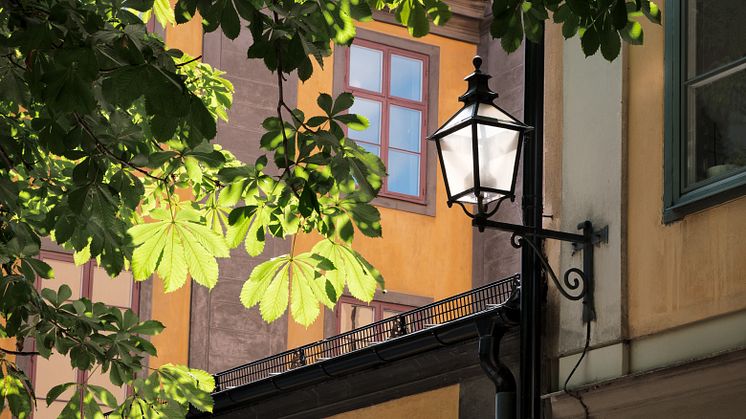 Hållbarhet bygger på att företag tar ett miljömässigt, ekonomiskt och socialt ansvar. 