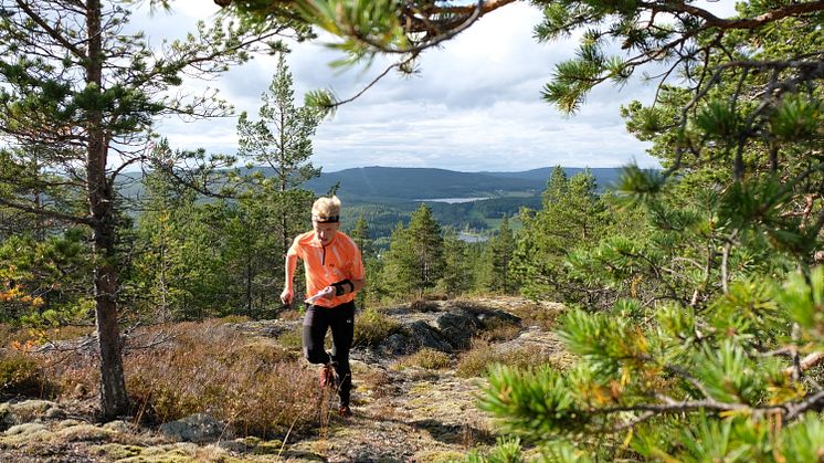 Oringen Höga Kusten 2018 är över. Närmare 20 000 orienterare har lämnat Höga Kusten för denna gång- men magkänslan säger mig att de kommer tillbaka !