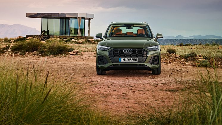 Audi Q5 2020 (Distriktgrøn)