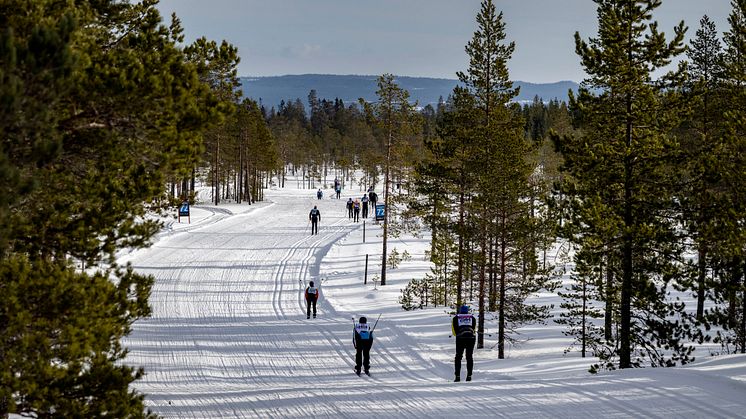 Vasaloppet's Winter Week 2022 – interview and summary