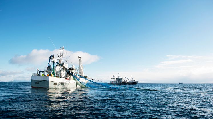 Photo: Norwegian Seafood Council
