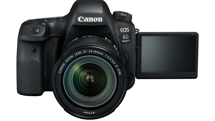 Canon EOS 6D Mark II, EF 24-105mm STM