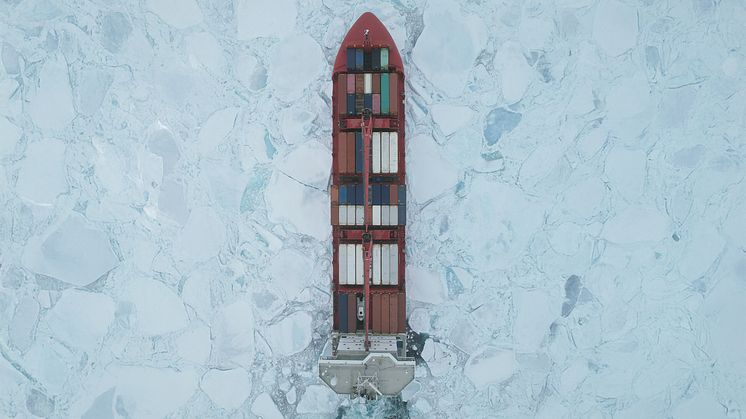 DIiis arrangement vertikalt. MALIK ARCTICA.jpg