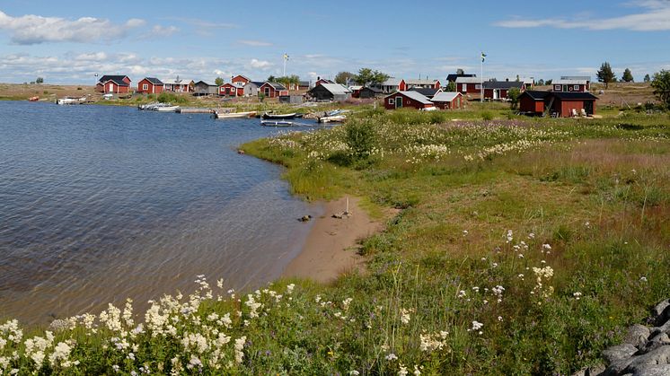 Panorama Stor Ebben-göran wallin.JPG