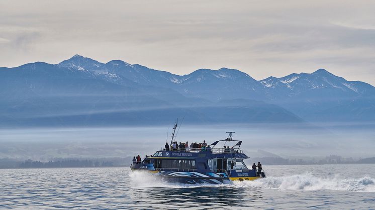 Die Katamarane von Whale Watch fahren mit Scania Motoren zu den Walbeobachtungsspots vor Kaikoura/Neuseeland.