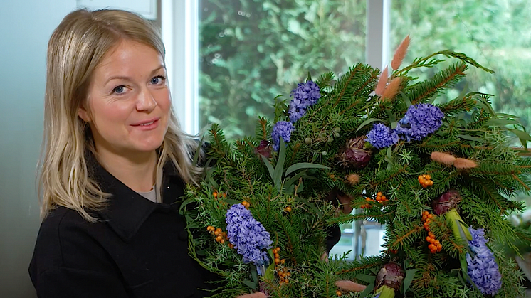 Florist Sofie Danielsson Söhr delar med sig av sina bästa hyacinttips inför jul