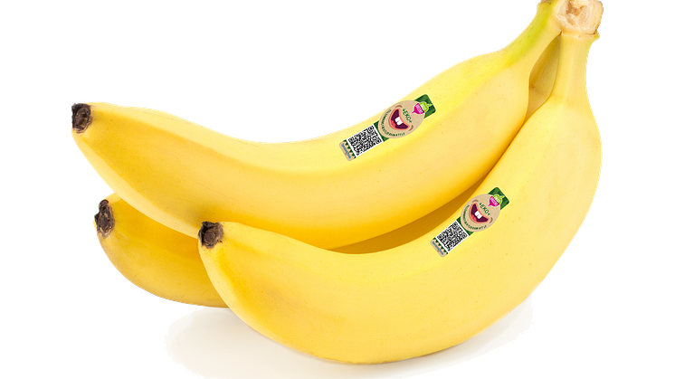 Daily Greens ska få fler barn att le genom nytt samarbete med Operation Smile  - varje såld Daily Greens banan blir ett bidrag till hjälporganisationen