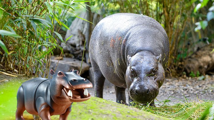 PLAYMOBIL und der Zoo Duisburg laden zum großen Zoo-Quiz ein