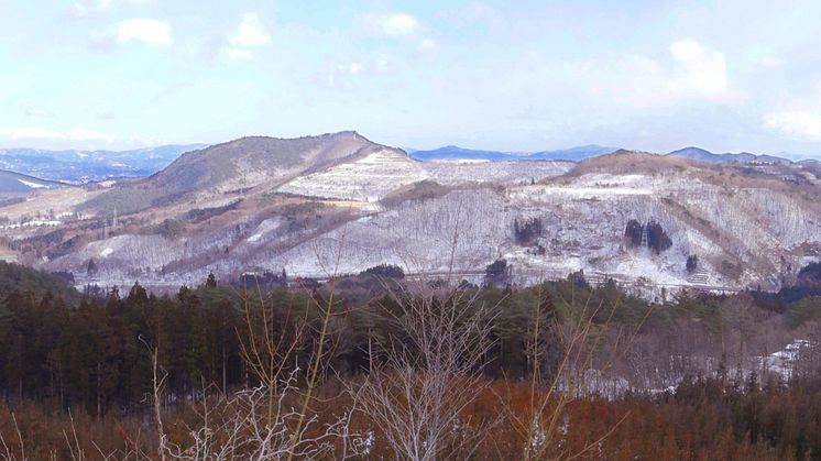 Jacob Kirkegaard, Stigma, 2014.  Fukushima.-2-300dpi-final 2