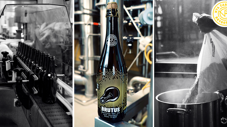 Nya Carnegiebryggeriet Brutus - En Syrlig Torr Öl med vinösa toner.