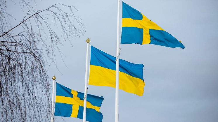 Expertlista från Umeå universitet med anledning av årsdagen av krigsutbrottet i Ukraina och ny intervju med fredsforskaren Dzenan Sahovic.