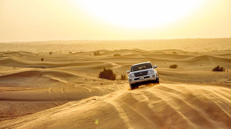 Dubai Desert Safari
