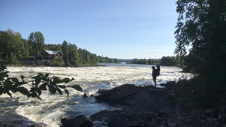 Vindeln har mycket att erbjuda i hållbarhetens tecken, allt från storslagen natur & god mat till äventyr.