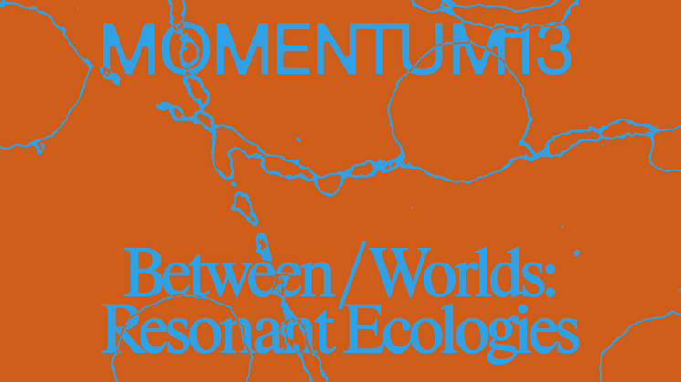 MOMENTUM 13. Design: Blank Blank. 