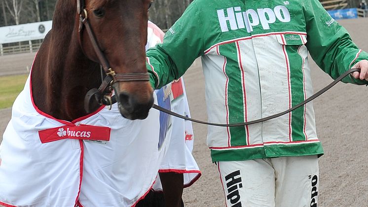 Andra deltävlingen i Olympiatravet på Jägersro