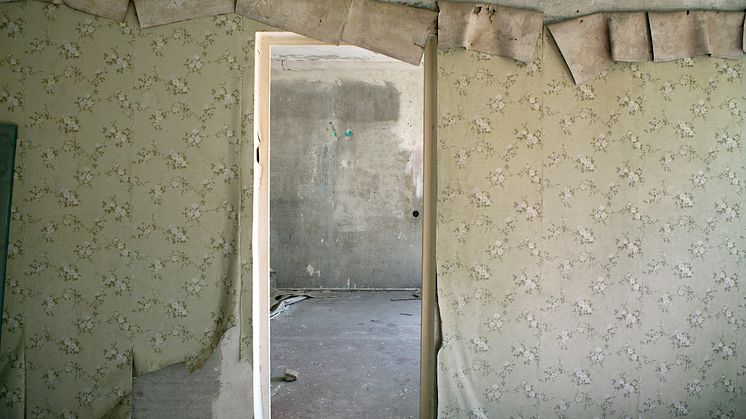 Pressbild 3 till "Pripyat - tusen år av ensamhet" på Malmö Museer