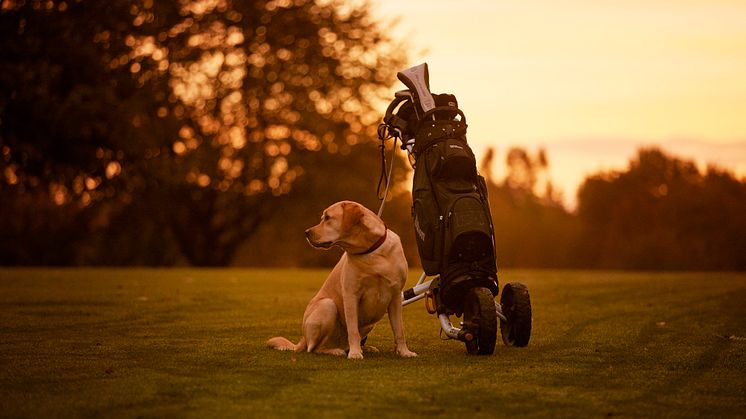 Elfa_Mood_Golf_2023_10_17.jpg