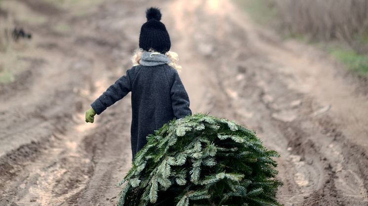 Ensam gran söker julklappar