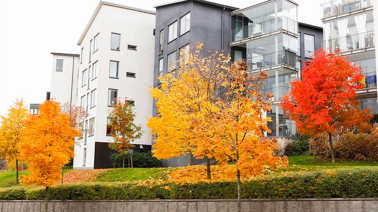 Priserna på bostadsrätter och villor ökade under oktober
