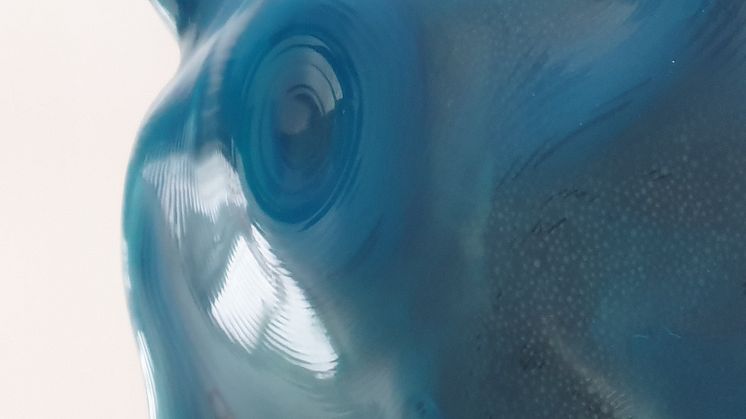 Unpredictable Flesh - Nya digitala hantverk, materialforskning och upplevelser i interaktiv arkitektur
