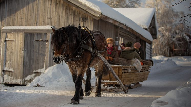 FryksasChalet_HorseSleighRide_photoJuliusAspman_VisitDalaarna