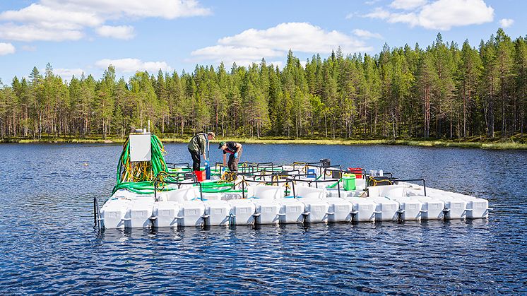 Provtagningen har skett i anslutning till så kallade mesokosmer som finns vid de tre provtagningslokalerna inom forskningsinfrastrukturen SITES. Foto: Andreas Palmén.